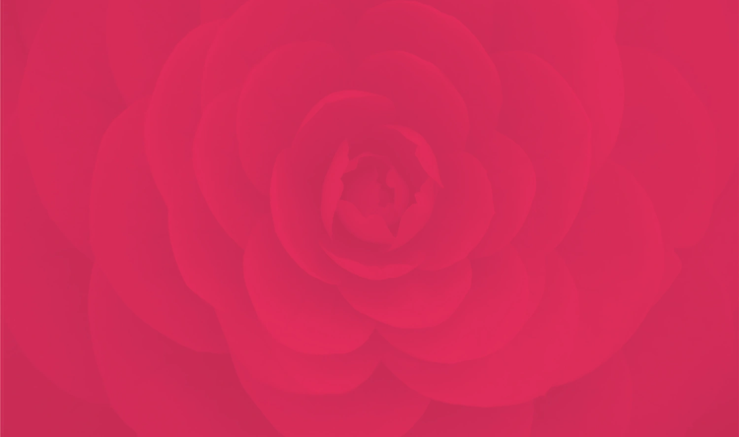 DLF The Camellias